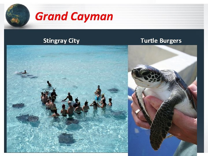 Grand Cayman Stingray City Turtle Burgers 