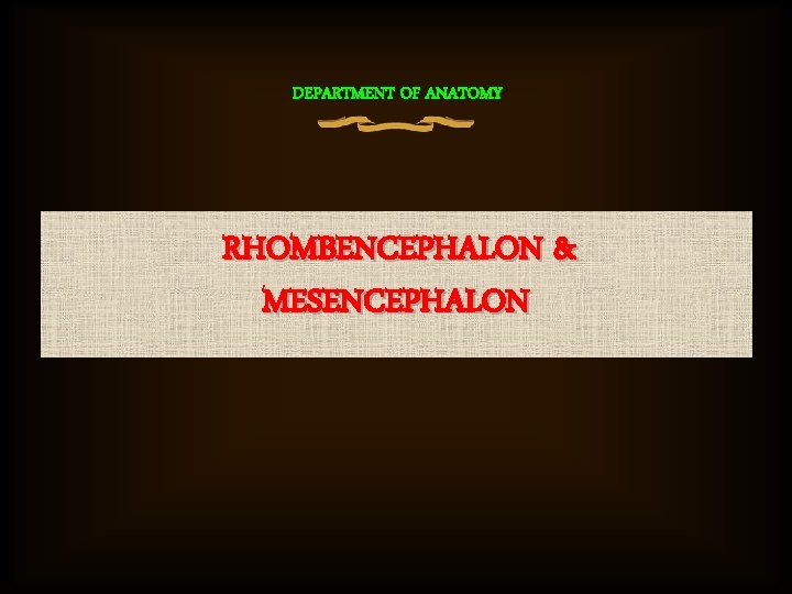 DEPARTMENT OF ANATOMY RHOMBENCEPHALON & MESENCEPHALON 