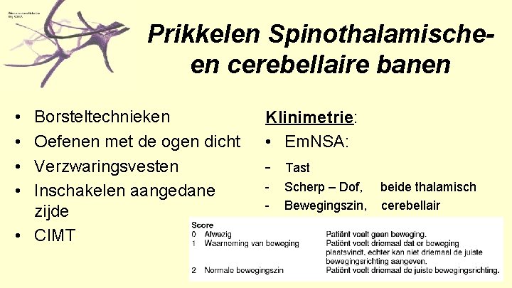 Prikkelen Spinothalamischeen cerebellaire banen • • Borsteltechnieken Oefenen met de ogen dicht Verzwaringsvesten Inschakelen