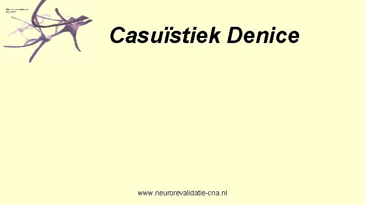 Casuïstiek Denice www. neurorevalidatie-cna. nl 