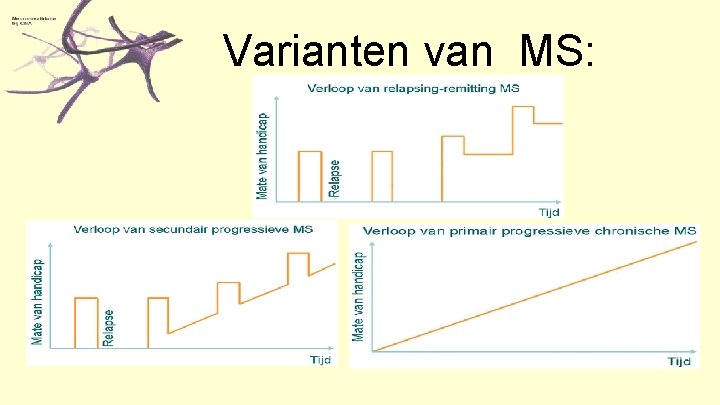 Varianten van MS: 