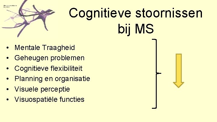 Cognitieve stoornissen bij MS • • • Mentale Traagheid Geheugen problemen Cognitieve flexibiliteit Planning