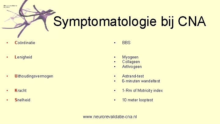 Symptomatologie bij CNA • Coördinatie • BBS • Lenigheid • • • Myogeen Collageen