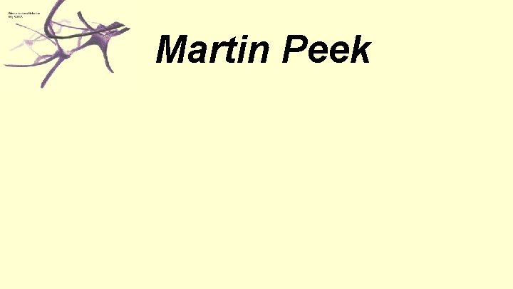 Martin Peek 