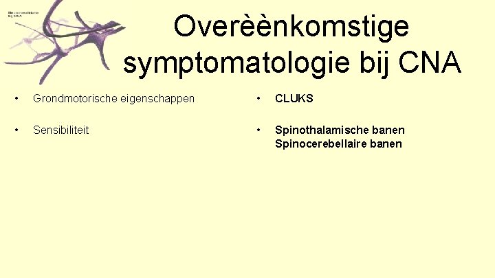 Overèènkomstige symptomatologie bij CNA • Grondmotorische eigenschappen • CLUKS • Sensibiliteit • Spinothalamische banen