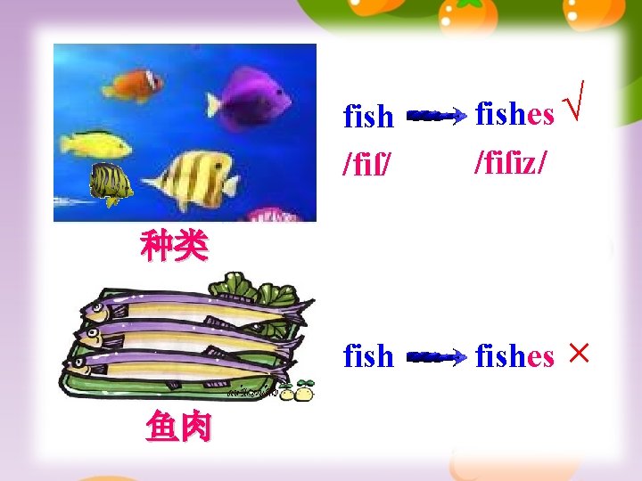 fish /fiſ/ fishes √ /fiſiz/ fishes × 种类 鱼肉 