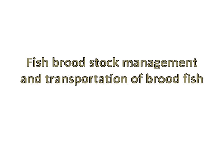 Fish brood stock management and transportation of brood fish 