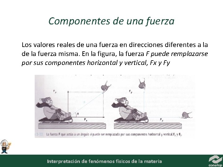 Componentes de una fuerza Los valores reales de una fuerza en direcciones diferentes a