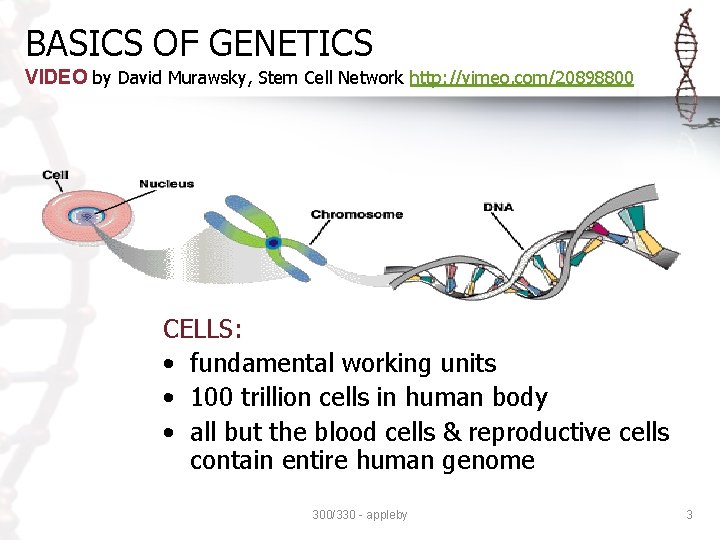 BASICS OF GENETICS VIDEO by David Murawsky, Stem Cell Network http: //vimeo. com/20898800 CELLS: BASICS OF GENETICS VIDEO by David Murawsky, Stem Cell Network http: //vimeo. com/20898800 CELLS: