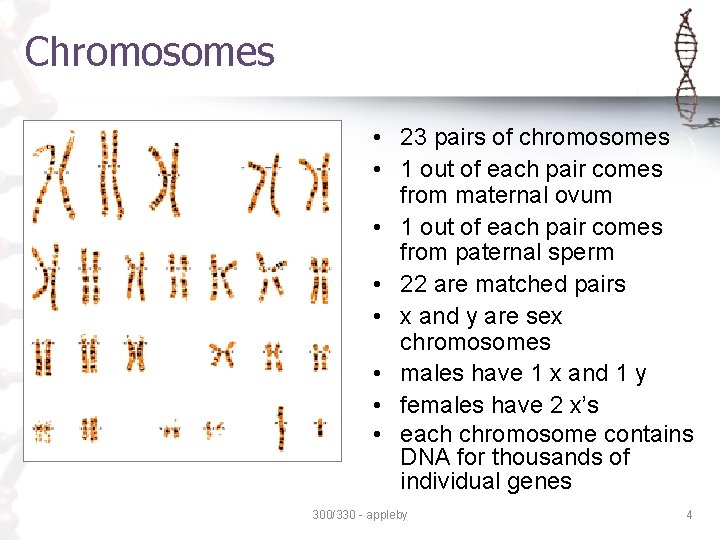 Chromosomes • 23 pairs of chromosomes • 1 out of each pair comes from Chromosomes • 23 pairs of chromosomes • 1 out of each pair comes from