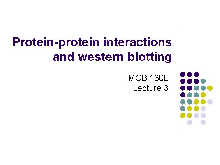 Protein-protein interactions and western blotting MCB 130 L Lecture 3 
