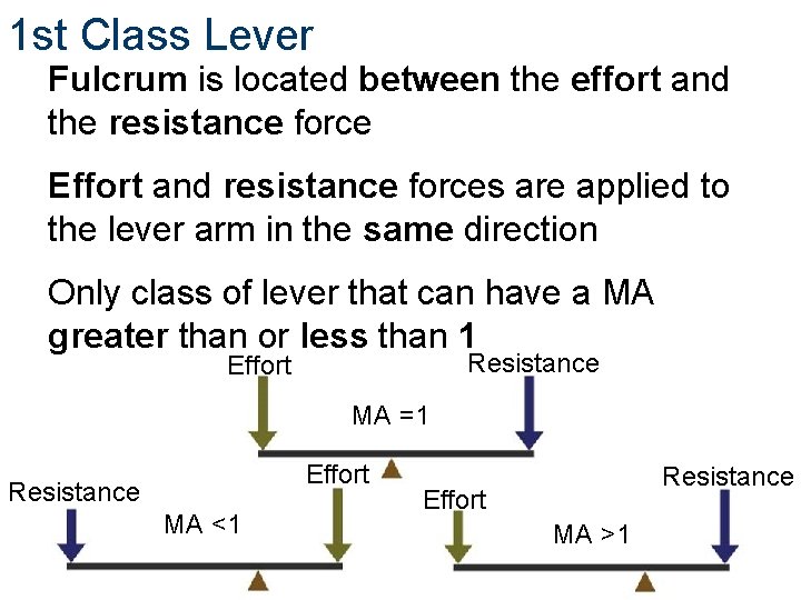 1 st Class Lever Fulcrum is located between the effort and the resistance force