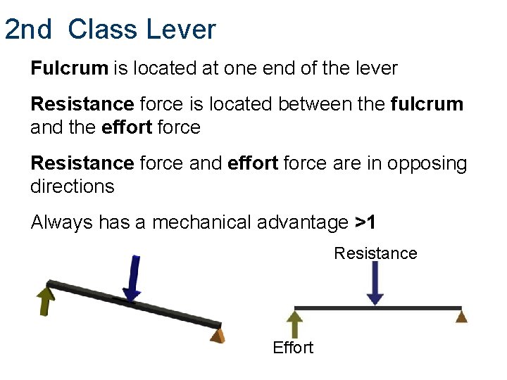 2 nd Class Lever Fulcrum is located at one end of the lever Resistance