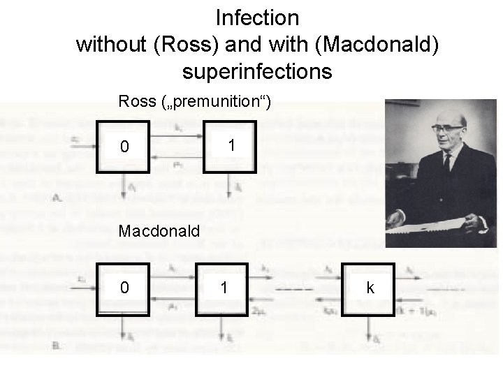 Infection without (Ross) and with (Macdonald) superinfections Ross („premunition“) 0 1 Macdonald 0 1