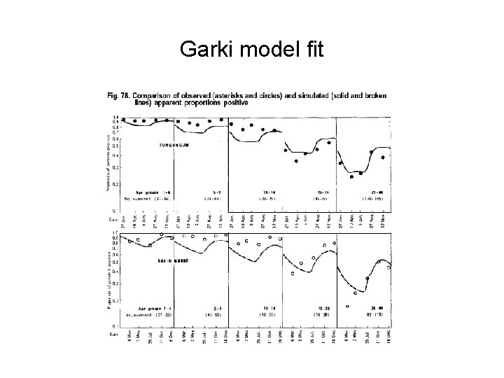 Garki model fit 