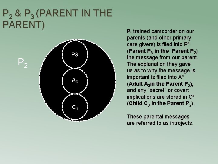 P 2 & P 3 (PARENT IN THE PARENT) P 2 P 3 A