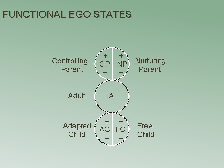 FUNCTIONAL EGO STATES Controlling Parent + + CP NP _ _ Adult A Adapted