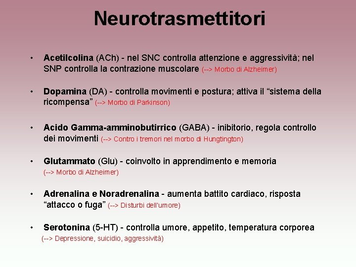 Neurotrasmettitori • Acetilcolina (ACh) - nel SNC controlla attenzione e aggressività; nel SNP controlla