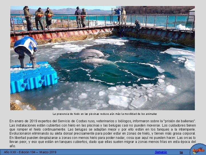 La presencia de hielo en las piscinas reduce aún más la movilidad de los