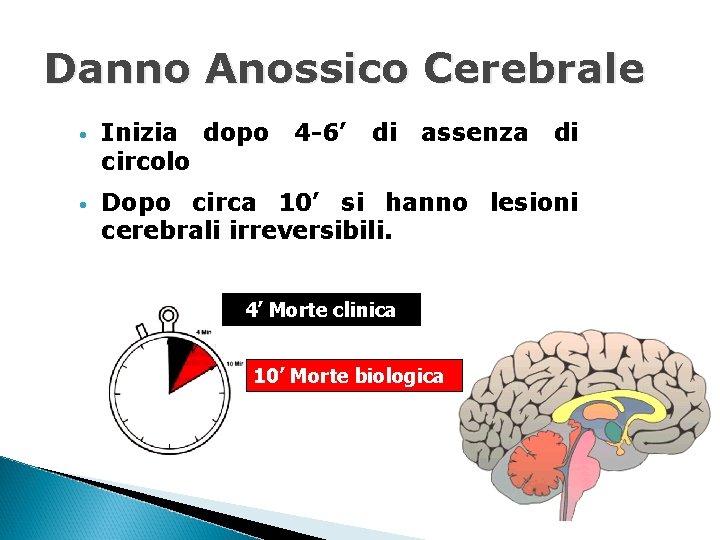 Danno Anossico Cerebrale • Inizia dopo circolo 4 -6’ di assenza • Dopo circa