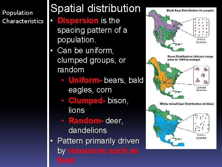 Population Characteristics Spatial distribution • Dispersion is the spacing pattern of a population. •