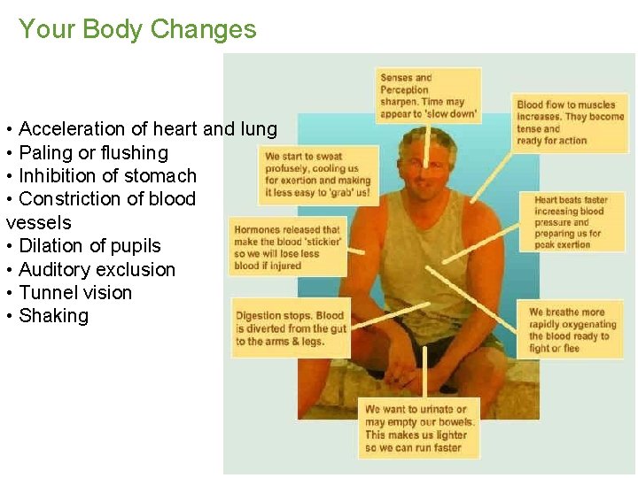 Your Body Changes • Acceleration of heart and lung • Paling or flushing •