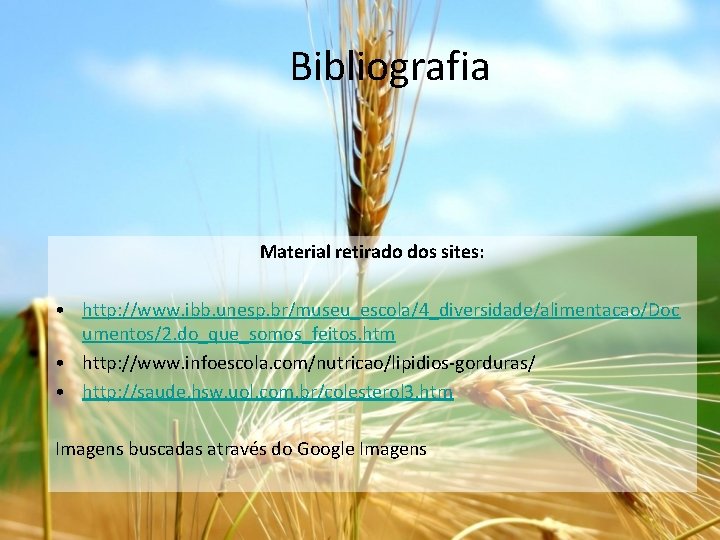 Bibliografia Material retirado dos sites: • http: //www. ibb. unesp. br/museu_escola/4_diversidade/alimentacao/Doc umentos/2. do_que_somos_feitos. htm Bibliografia Material retirado dos sites: • http: //www. ibb. unesp. br/museu_escola/4_diversidade/alimentacao/Doc umentos/2. do_que_somos_feitos. htm