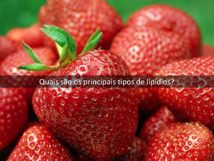 Quais são os principais tipos de lipídios? Quais são os principais tipos de lipídios?