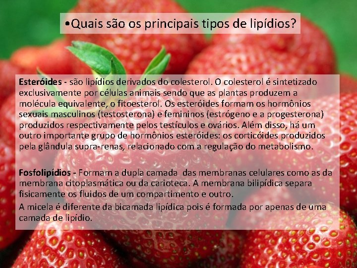 • Quais são os principais tipos de lipídios? Esteróides - são lipídios derivados • Quais são os principais tipos de lipídios? Esteróides - são lipídios derivados