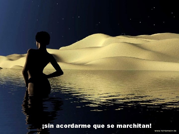 ¡sin acordarme que se marchitan! 