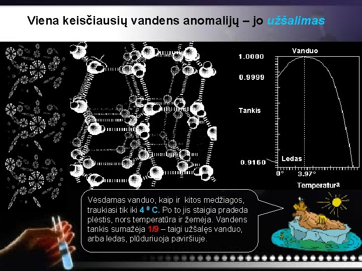 Viena keisčiausių vandens anomalijų – jo užšalimas Vanduo Tankis Ledas a Vėsdamas vanduo, kaip