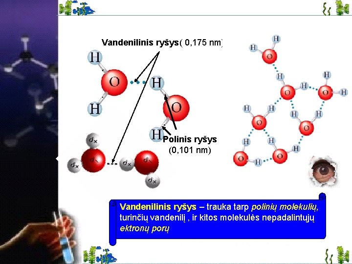 Vandenilinis ryšys( 0, 175 nm) Polinis ryšys (0, 101 nm) Vandenilinis ryšys – trauka