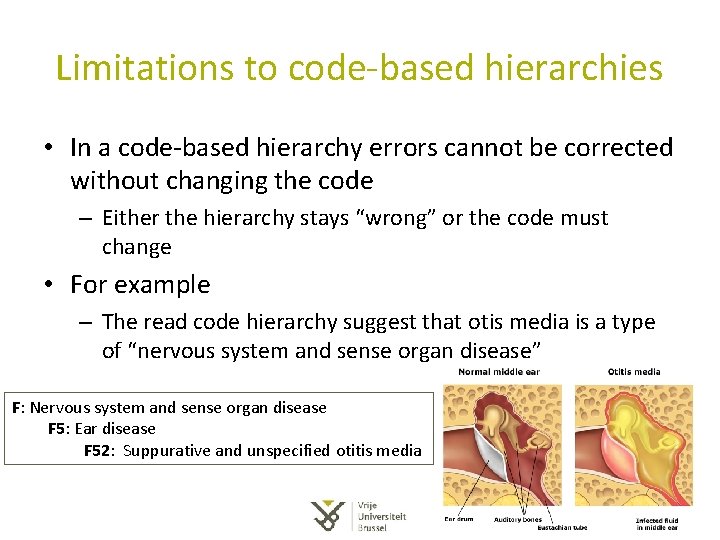 Limitations to code-based hierarchies • In a code-based hierarchy errors cannot be corrected without Limitations to code-based hierarchies • In a code-based hierarchy errors cannot be corrected without
