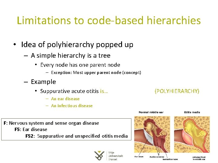 Limitations to code-based hierarchies • Idea of polyhierarchy popped up – A simple hierarchy Limitations to code-based hierarchies • Idea of polyhierarchy popped up – A simple hierarchy