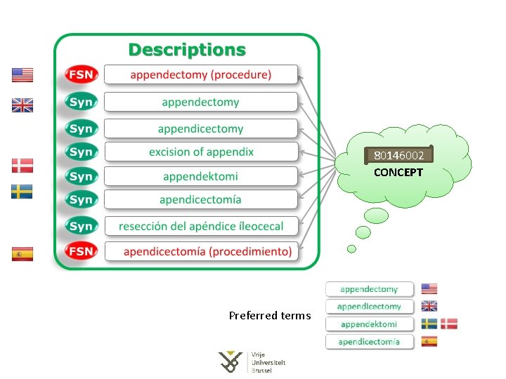 80146002 CONCEPT Preferred terms 80146002 CONCEPT Preferred terms