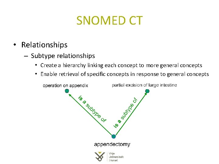 SNOMED CT • Relationships – Subtype relationships • Create a hierarchy linking each concept SNOMED CT • Relationships – Subtype relationships • Create a hierarchy linking each concept