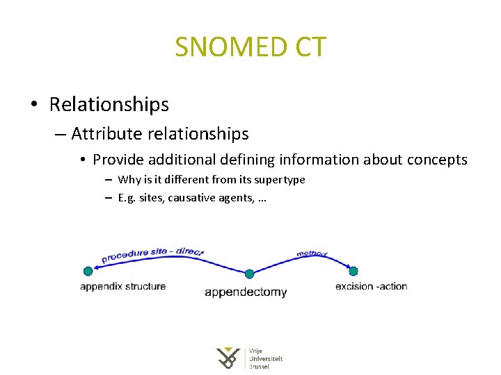 SNOMED CT • Relationships – Attribute relationships • Provide additional defining information about concepts SNOMED CT • Relationships – Attribute relationships • Provide additional defining information about concepts