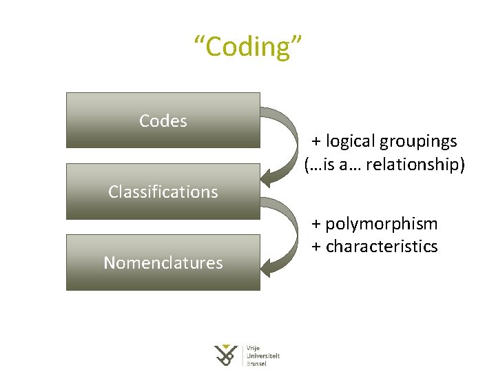 “Coding” Codes + logical groupings (…is a… relationship) Classifications Nomenclatures + polymorphism + characteristics “Coding” Codes + logical groupings (…is a… relationship) Classifications Nomenclatures + polymorphism + characteristics