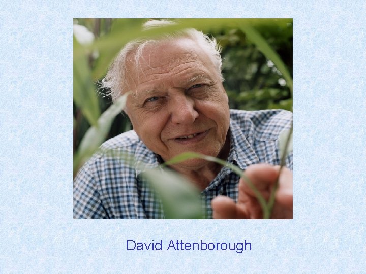 Can you name David this. Attenborough science communicator? 