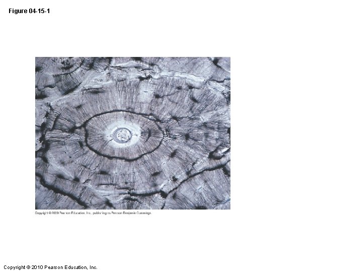 Figure 04 -15 -1 Copyright © 2010 Pearson Education, Inc. 