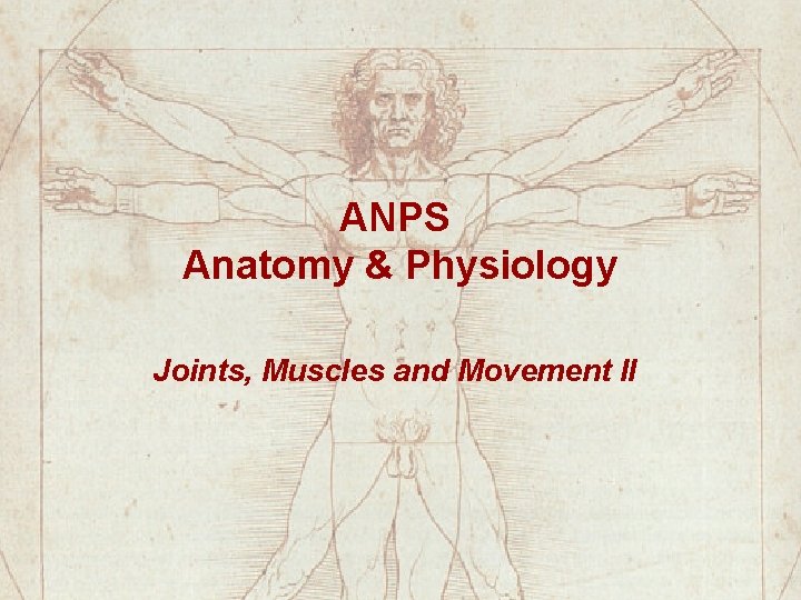 ANPS Anatomy & Physiology Joints, Muscles and Movement II 