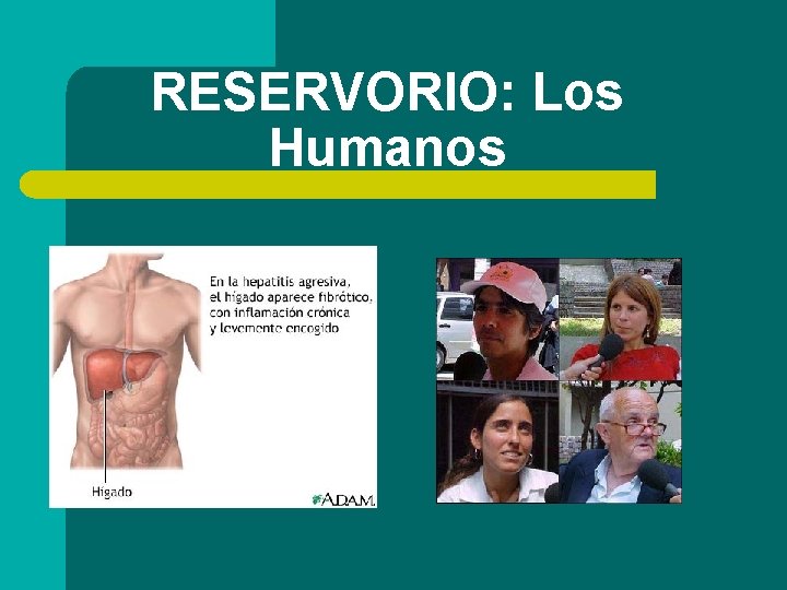 RESERVORIO: Los Humanos 