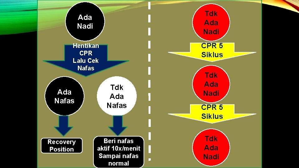 Tdk Ada Nadi CPR 5 Siklus Hentikan CPR Lalu Cek Nafas Ada Nafas Recovery