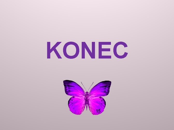 KONEC 15 