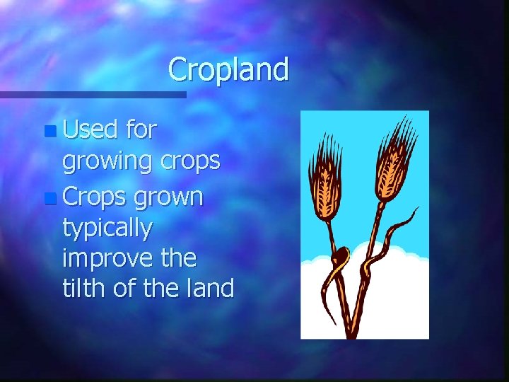 Cropland n Used for growing crops n Crops grown typically improve the tilth of