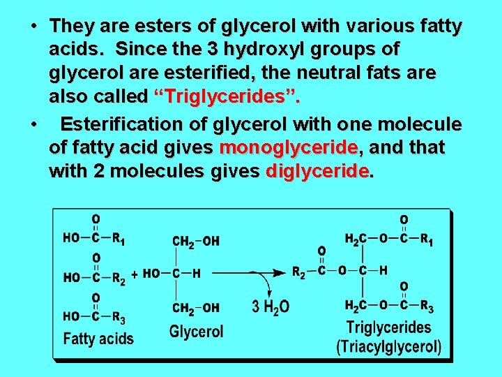  • They are esters of glycerol with various fatty acids. Since the 3