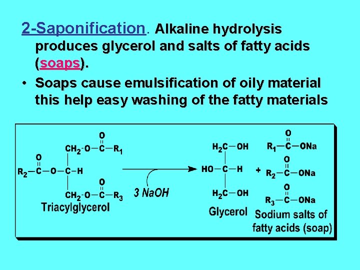 2 -Saponification. Alkaline hydrolysis produces glycerol and salts of fatty acids (soaps). • Soaps