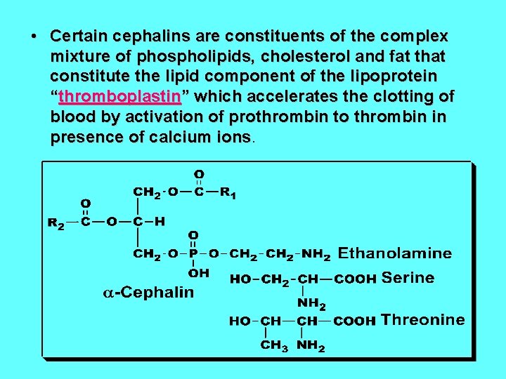  • Certain cephalins are constituents of the complex mixture of phospholipids, cholesterol and