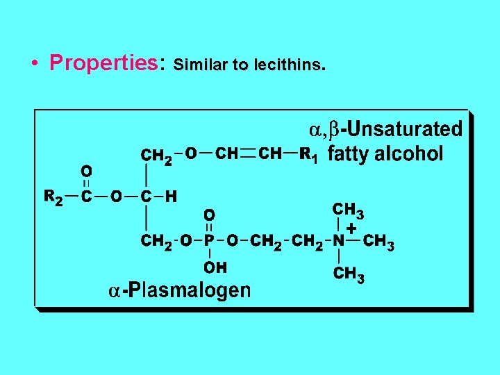  • Properties: Similar to lecithins. 