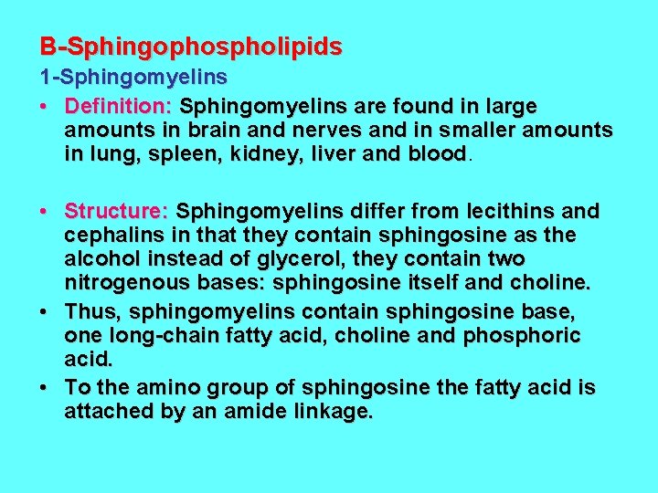 B-Sphingophospholipids 1 -Sphingomyelins • Definition: Sphingomyelins are found in large amounts in brain and